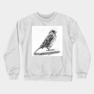 English Sparrow - Bird Watching - Ornithology Crewneck Sweatshirt